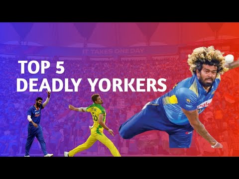 Top 5 Deadly Yorkers in Cricket History 🔥 | Unplayable Deliveries ...