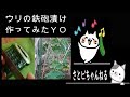 【料理・Vlog】鉄砲漬け作ってみたＹＯ！