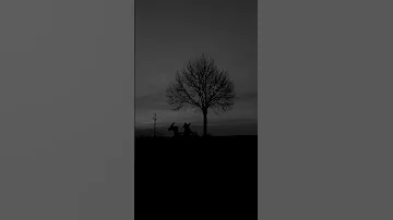 Mucizem Kara Sevda Dark Video 