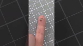 The Worlds Smallest Pokedex Pokémon
