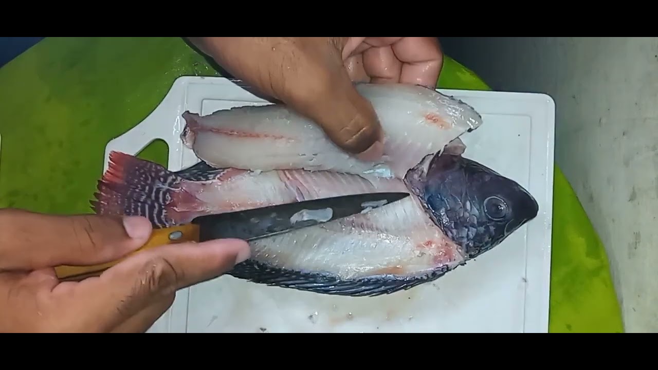 como tirar o filé da tilapia sem desperdiçar! | tutorial - YouTube