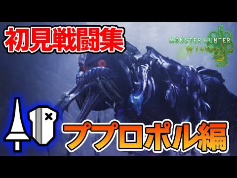 【モンハンワイルズ】ランスで初見戦闘集！ププロポル編【モンスターハンターワイルズ】【ぽんすけ】