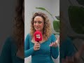 #DXBToday's Dina Butti Shares Her Favourite Things