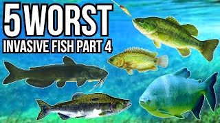 5 Worst Invasive Fish Part 4