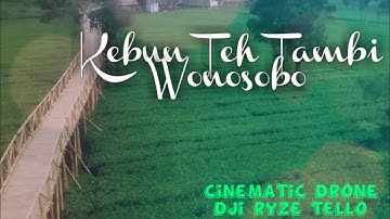 KEBUN TEH TAMBI WONOSOBO | CINEMATIC VIDEO DRONE DJI RYZE TELLO
