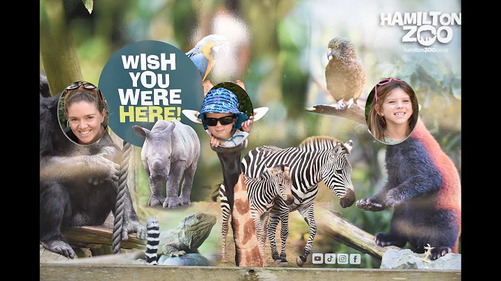 Hamilton Zoo New Zealand