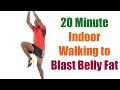 20 Minute Indoor Walking Workout to Blast Belly Fat 🔥 200 Calorie Workout 🔥