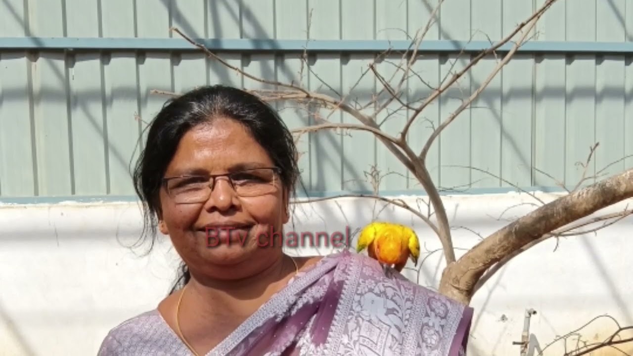 యాదగిరి కొండలో  ఆనందం సోయగాలు చూడతరమా!