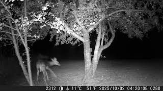 2025 — DSCF1280