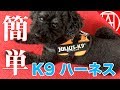 簡単装着が便利すぎ！ユリウスＫ９(julius-K9)のIDCパワーハーネス レビュー