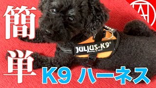 簡単装着が便利すぎ！ユリウスＫ９(julius-K9)のIDCパワーハーネス レビュー