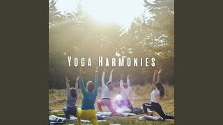 Harmonic Yoga Interlude