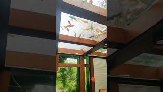 Inspirasi Kolam Koi Jadi Atap Rumah