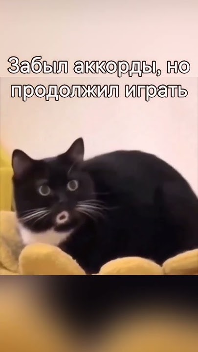Ооо - YouTube