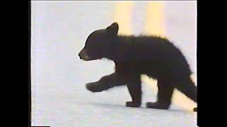 Vhs History Docu - Nature; Glacier Nat Park 1991 rev1 by mjimih 70 views 11 months ago 27 minutes