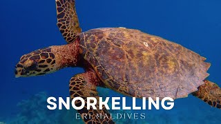 Snorkelling Adventures at Eri Maldives