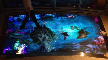 Pressure Sensitive Interactive LED Dance Floor Display