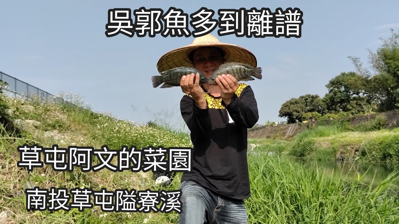 吳郭魚多到離譜的釣點，南投草屯隘寮溪（第四十九集）