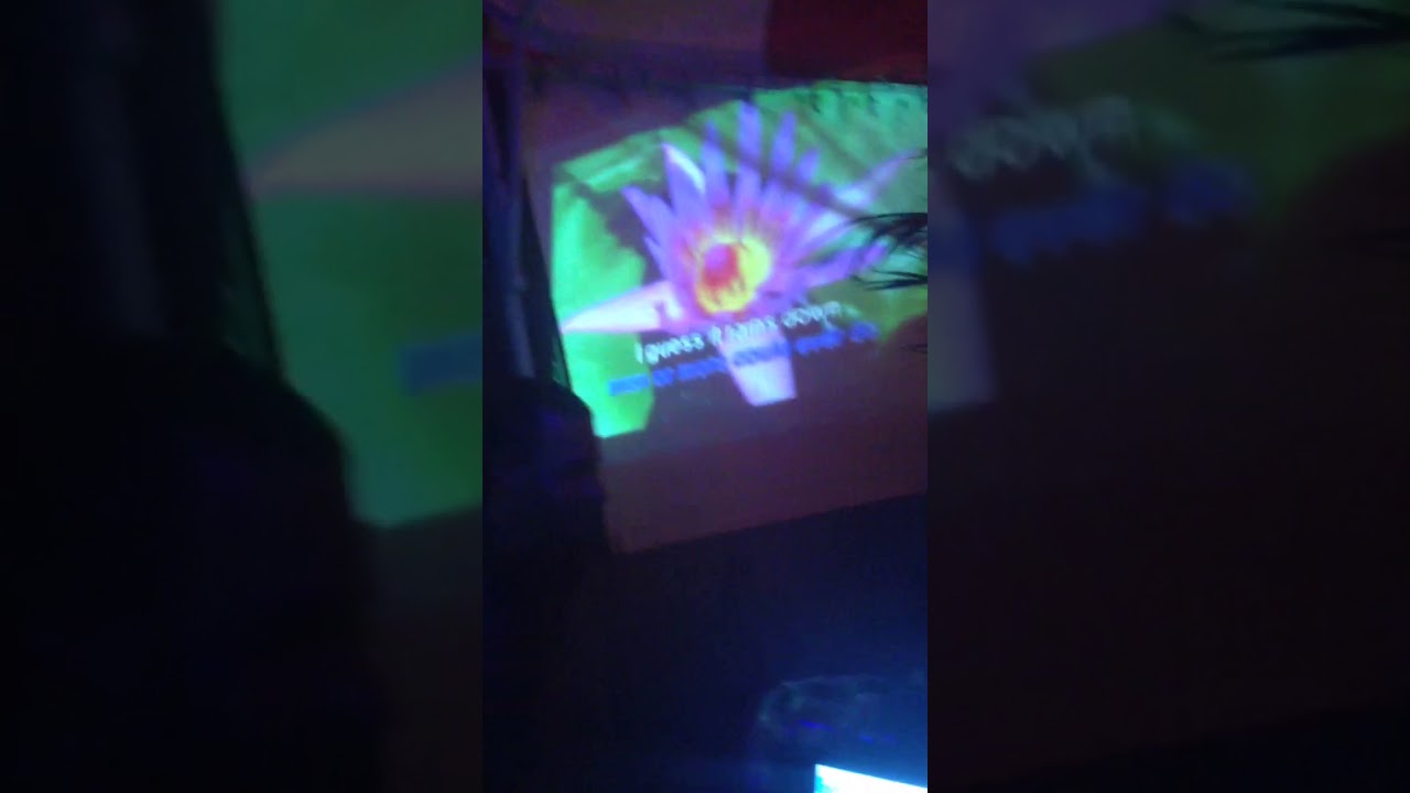 Ameezingbar valhalla festival