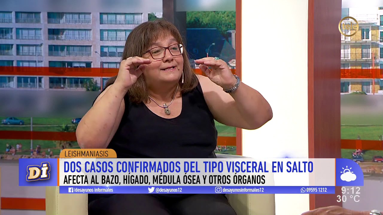 Leishmaniasis: síntomas, afectaciones, cuidados y peligros