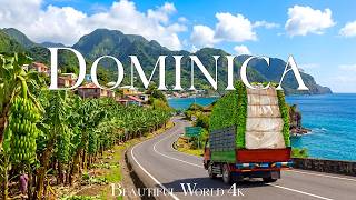 Dominica 4K 🌴 Untouched Rainforests and Spectacular Caribbean Coastlines
