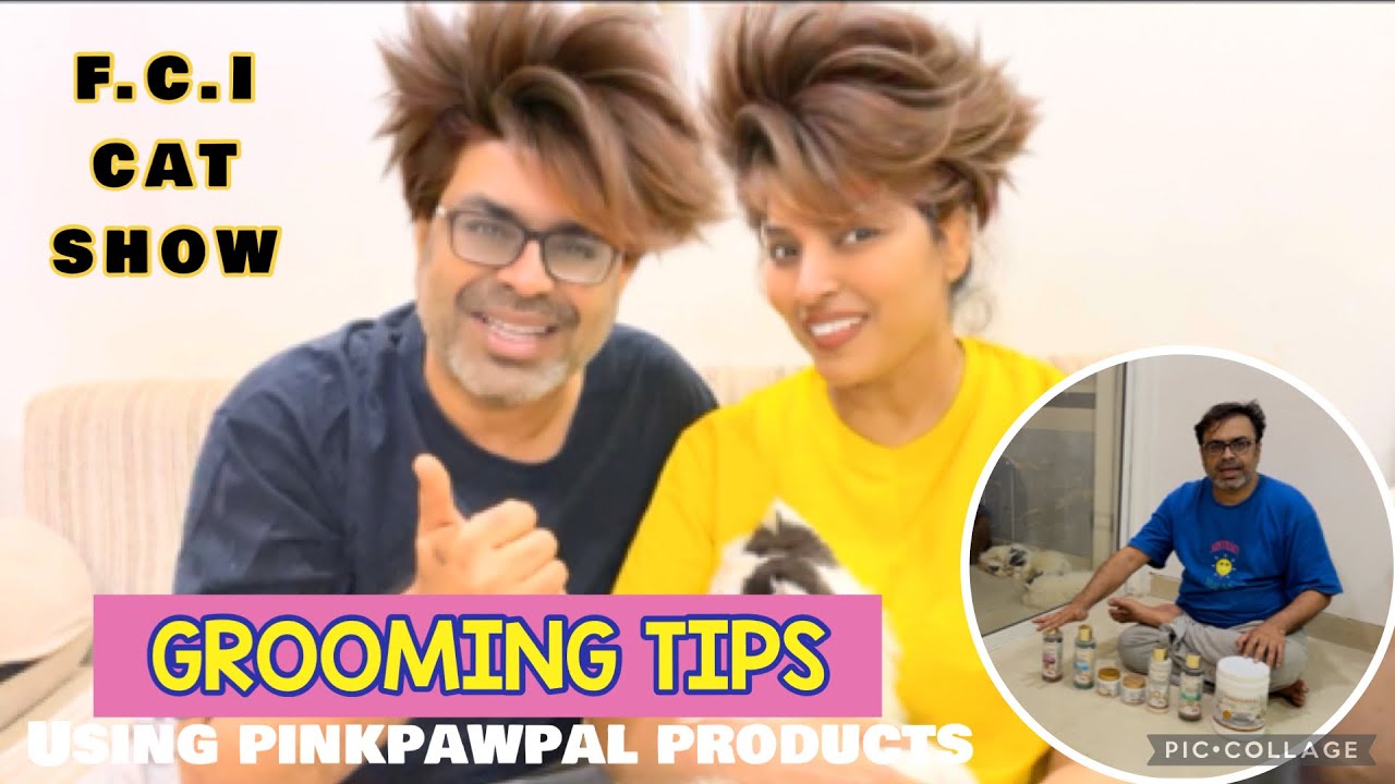 How To Groom your Cat (using Pink PawPal Products FCI CAT SHOW  