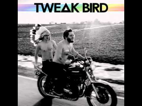 Tweak Bird — Tweak Bird - 8 Hazement in the basement