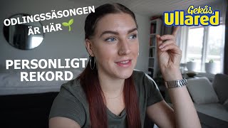 vlogg 14 SPONTANBESÖK PÅ ULLARED | haul &amp; lite annat vardagligt