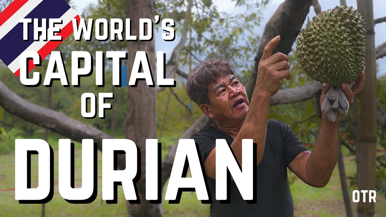 How One Thai Province Supplies the Planet with Durian