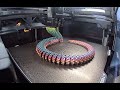 [Timelapse] Articulated cobra snake