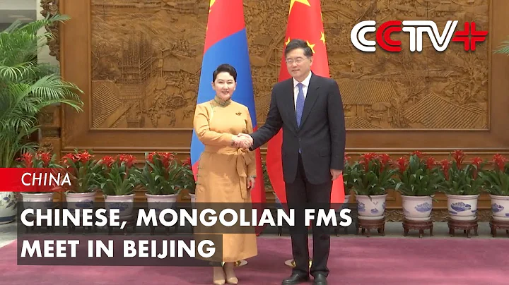 Chinese, Mongolian FMs Meet in Beijing - DayDayNews