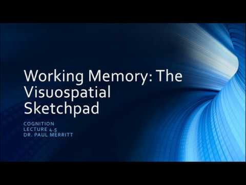 Video: Ano ang tungkulin ng visuospatial sketchpad?