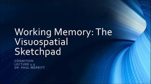 Cognition Lecture 4 5   The Visuospatial Sketchpad
