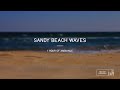 Relaxing Beach Waves Ambience Shore Coast Vacation by the Ocean - 1 Hour of Ambient Sounds