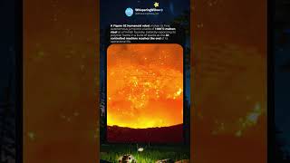 🤣 2026 POV: Unleashed! The Funniest Animal Fails &amp; Wins Compilation #AnimalLovers #Viral #comedy 😍🦁