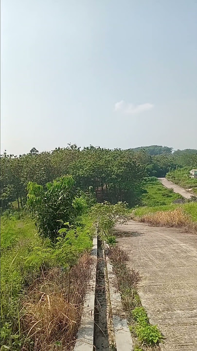 di bukit yang indah