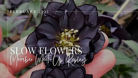 Slow Flowers Members' Virtual Meet-Up - February 5...