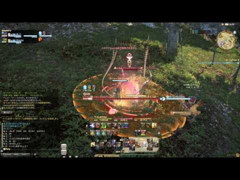 【FF14】メインクエスト：新生エオルゼア：クァールの毛皮 #313