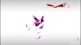 Leo TC - străinătate haina grea