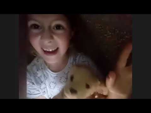 Онлайн-читка книги "Чуд" от театральной студии "Дети райка"