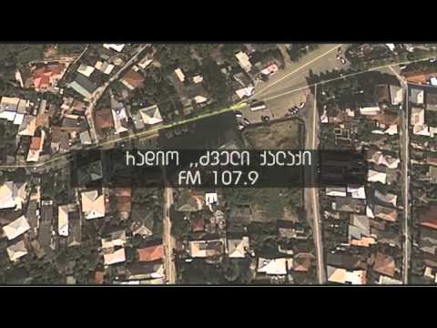 თავისუფალი არჩევანი შუალედური არჩევნები 2013