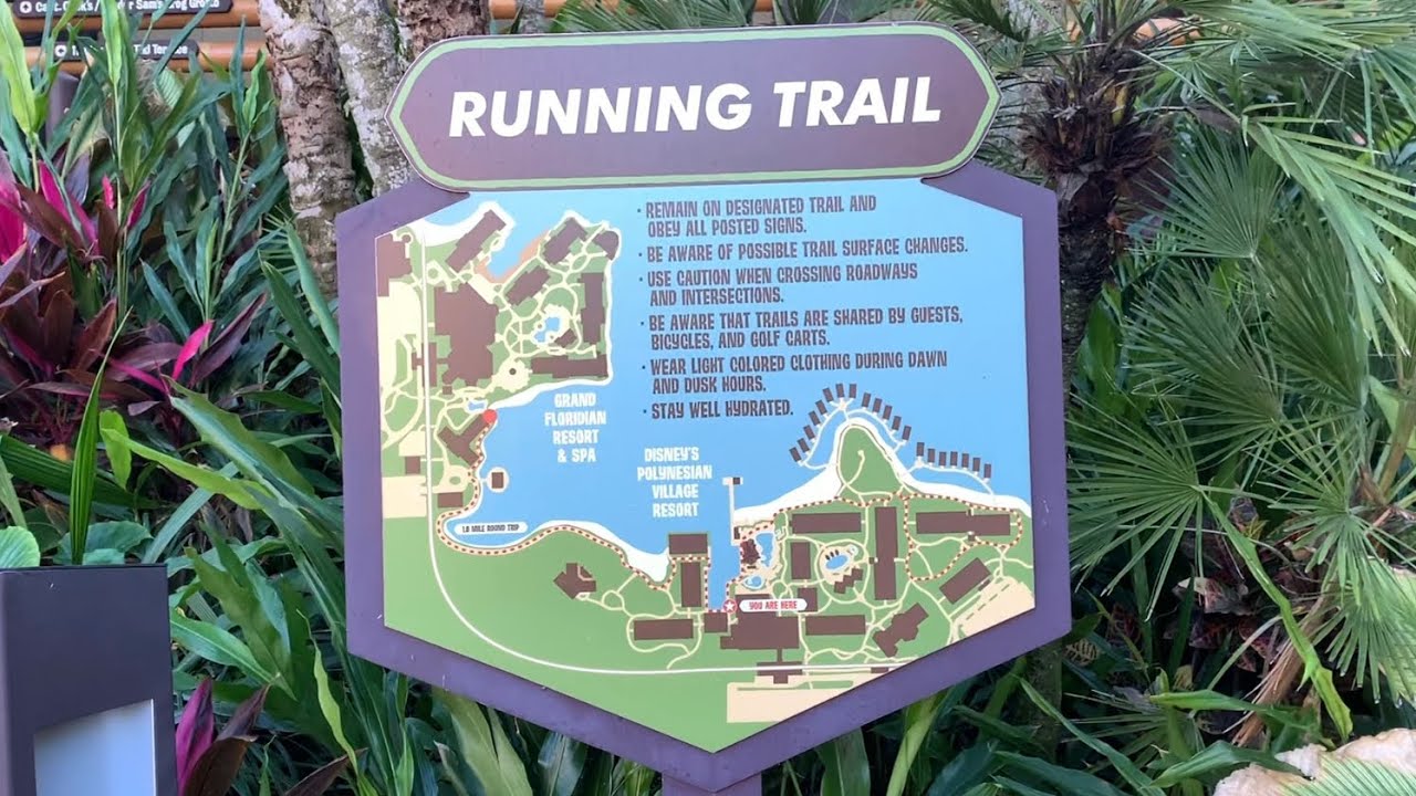 Running path from Disney’s Magic Kingdom to Grand Floridian to Polynesian to TTC HD