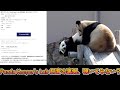 Panda News] PANDA LOVE CLUB A time for connecting and loving