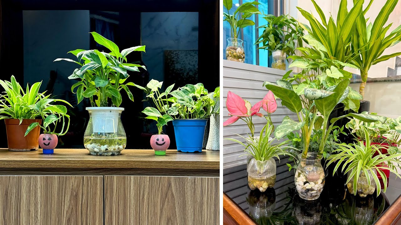 Идея выращивания водных растений помогает внутреннему пространству стать действительно прохладным