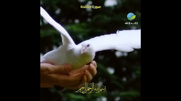 سورة الفاتحه مع اجمل صوت