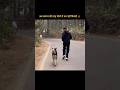 बचपन🧿#explorefitness#love#youtube#youtubeshorts#likeandsubscribe#india#likeandsubscribe#doglove