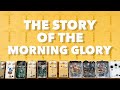 The Story of the Morning Glory