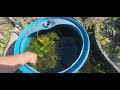 aquaponics 6/7/2024 update after 2 month vacation.