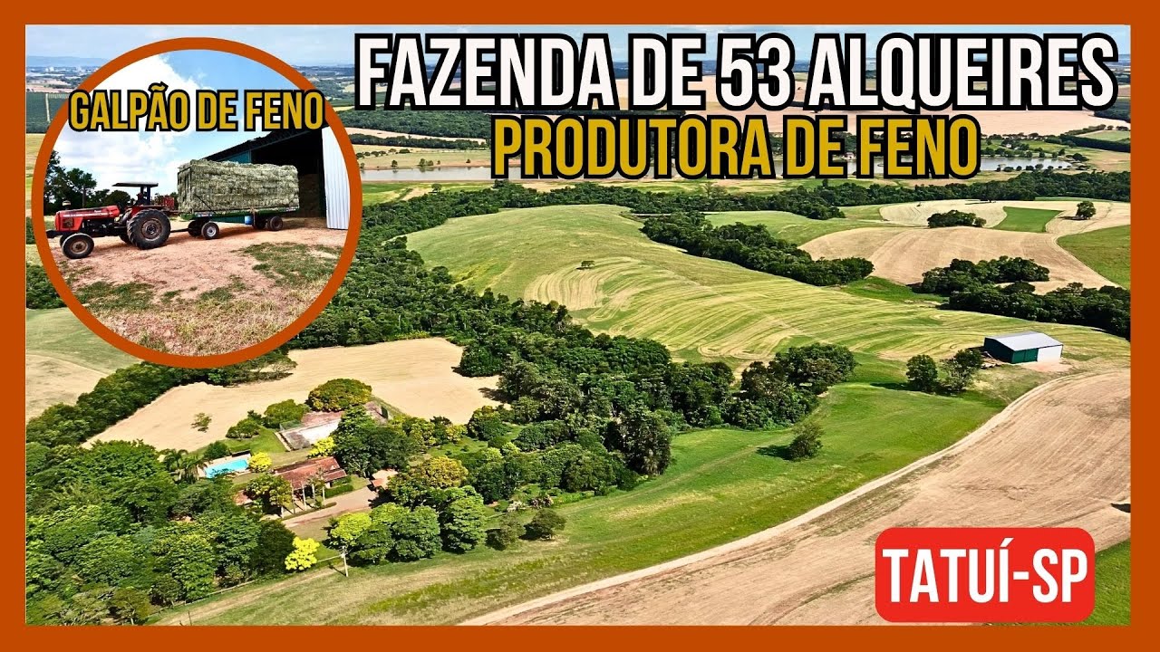 Fazenda produtora de feno com 53 alqueires à venda em Tatuí-SP.