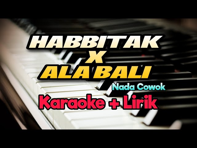 Karaoke Habbitak X Alabali || Nada Cowok ( Karaoke + Lirik ) Kualitas Jernih class=